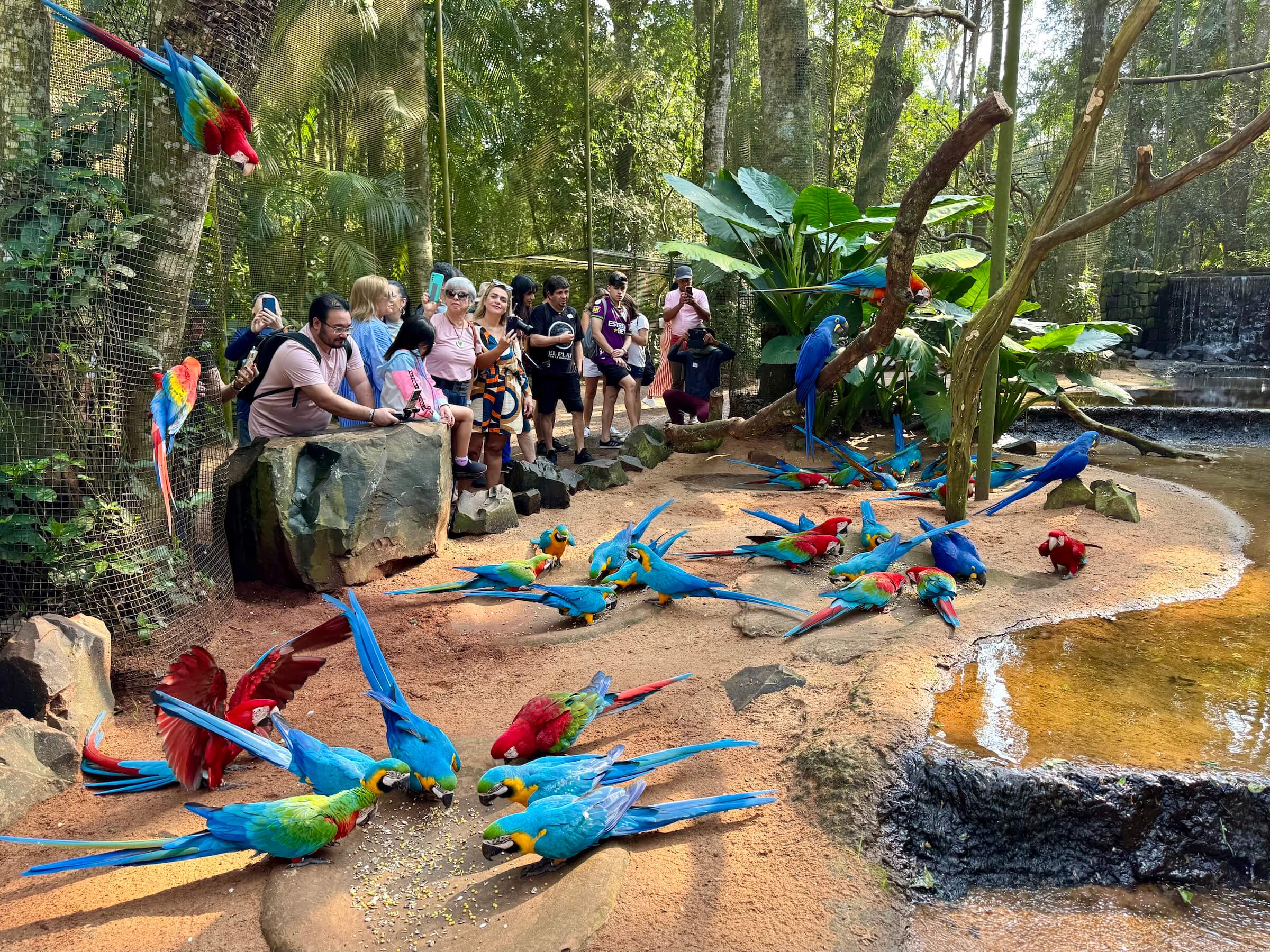 Parque das Aves Foz do Iguaçu
